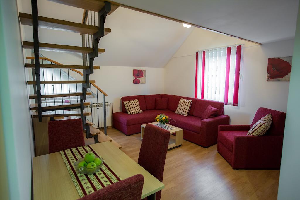 Apartments And Rooms Millennium Ogulin Rum bild